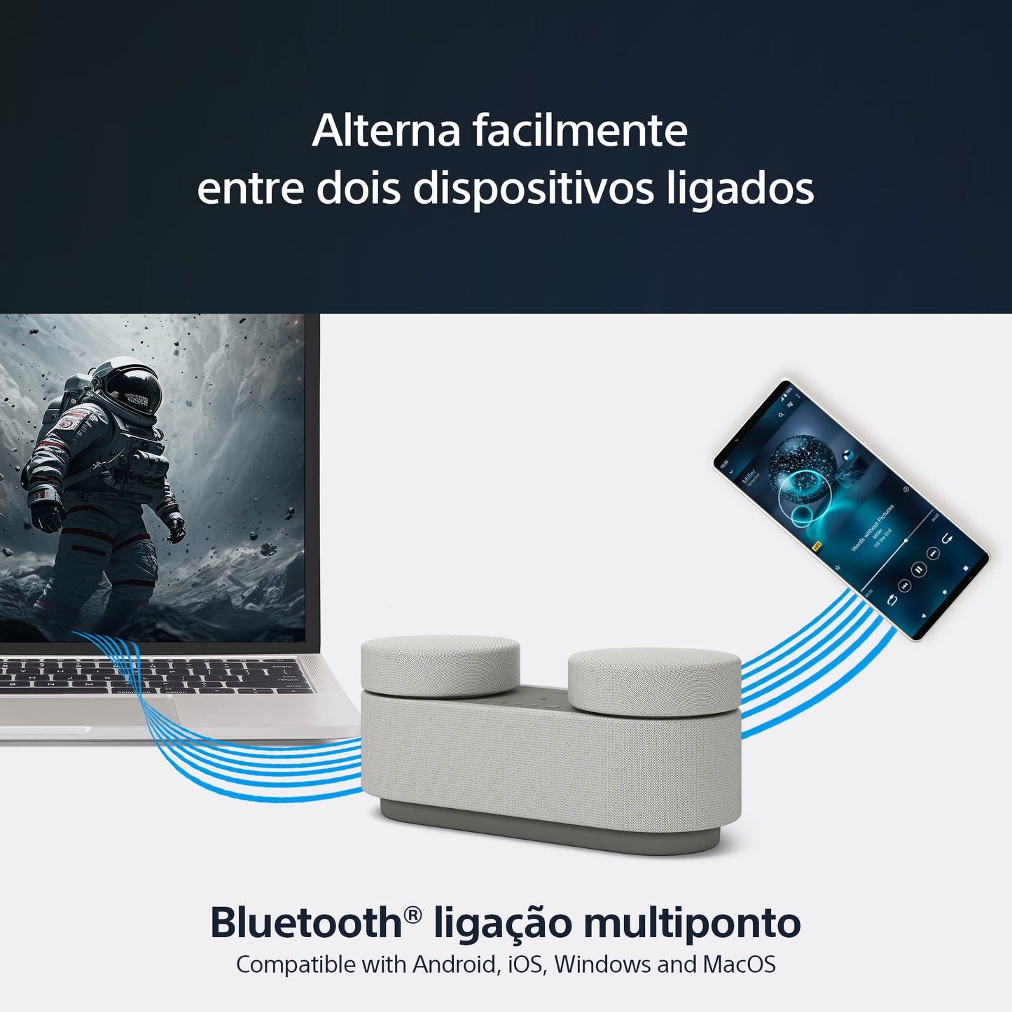 Sistema de som portátil Sony HT-AX7